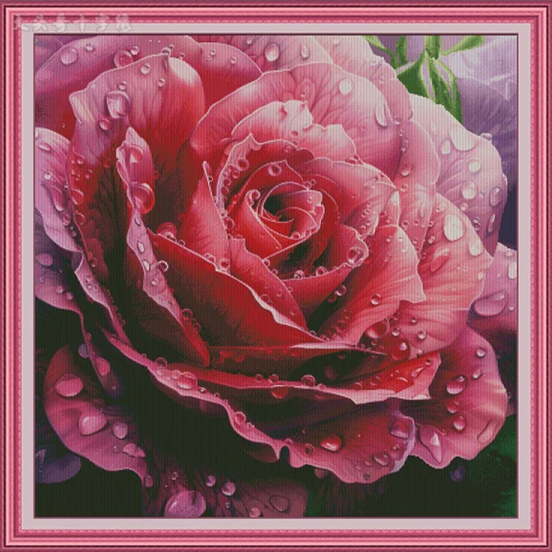 طقم تطريز مسبق الطباعة 14CT 16 - مراجعة Embroidery Rose وسعره