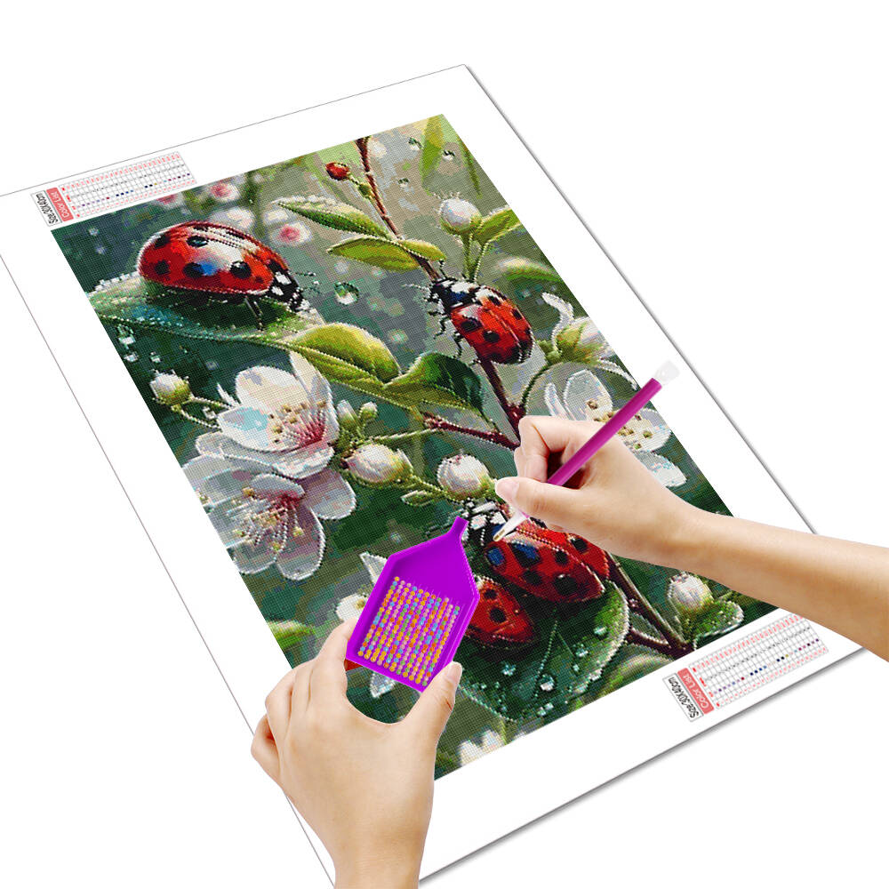 لوحة ماسية ، ديكور منزلي ، حيو - مراجعة Embroidery Lady Bug وسعره